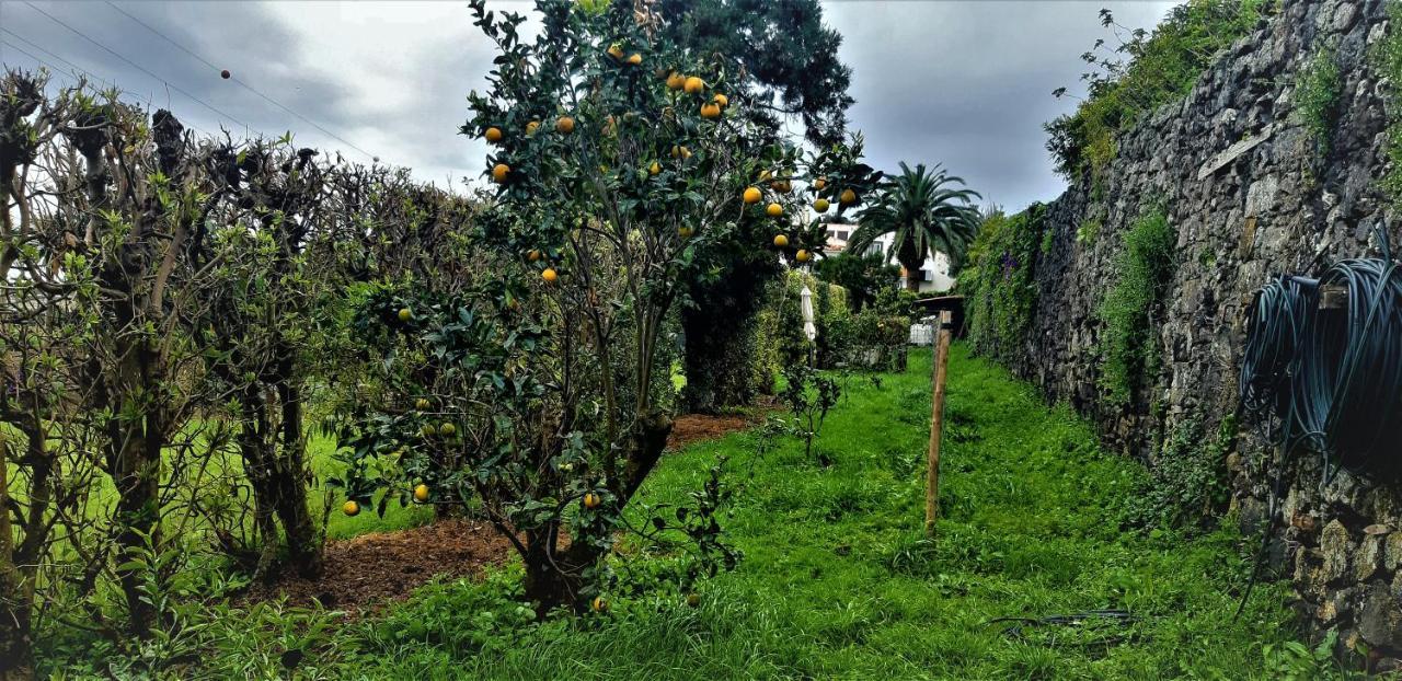 Quinta Do Bom Despacho Понта-Делгада Экстерьер фото